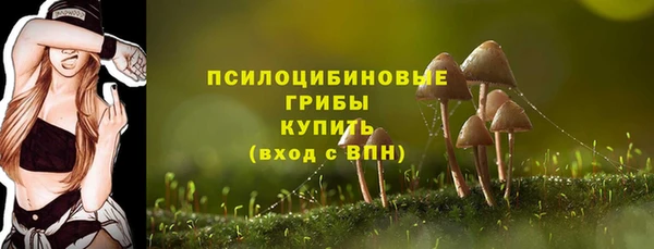 крисы Богданович
