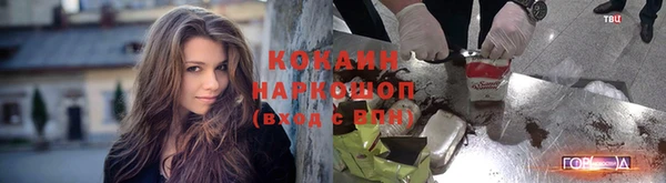 крисы Богданович