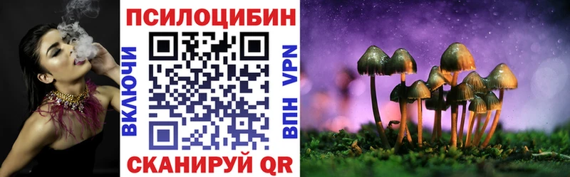 Купить где  Усть-Джегута  Псилоцибиновые грибы мицелий 